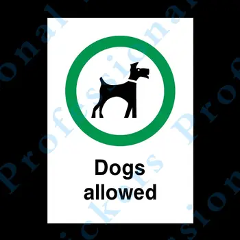 Köpekler İzin Sert Plastik İşareti VEYA Araba Çıkartmaları - Tüm Boyutları A6 A5 A4 (PPA23) Su Geçirmez Vinil araba Motos için